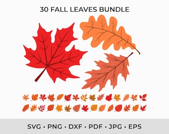 Fall Leaves SVG PNG, Autumn Leaf Cut Files (Digital Download)