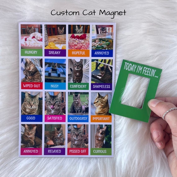Custom Cat Funny Cat Cat Themed Gifts Etsy