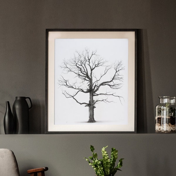 Black & White Large Oak Tree Print