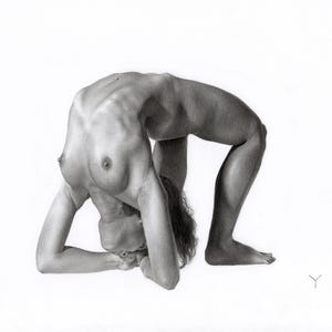 May include: A black and white graphite drawing of a figure in a deep backbend pose, resting on the forearms with the head tucked inward. The artwork features detailed shading and anatomical contours, with a small Y-shaped signature in the corner.