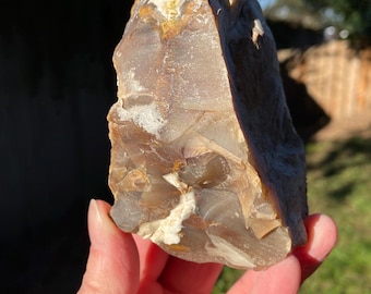 Rough, Unpolished Petrified Wood, Saddle Mountain, Agate, Opal