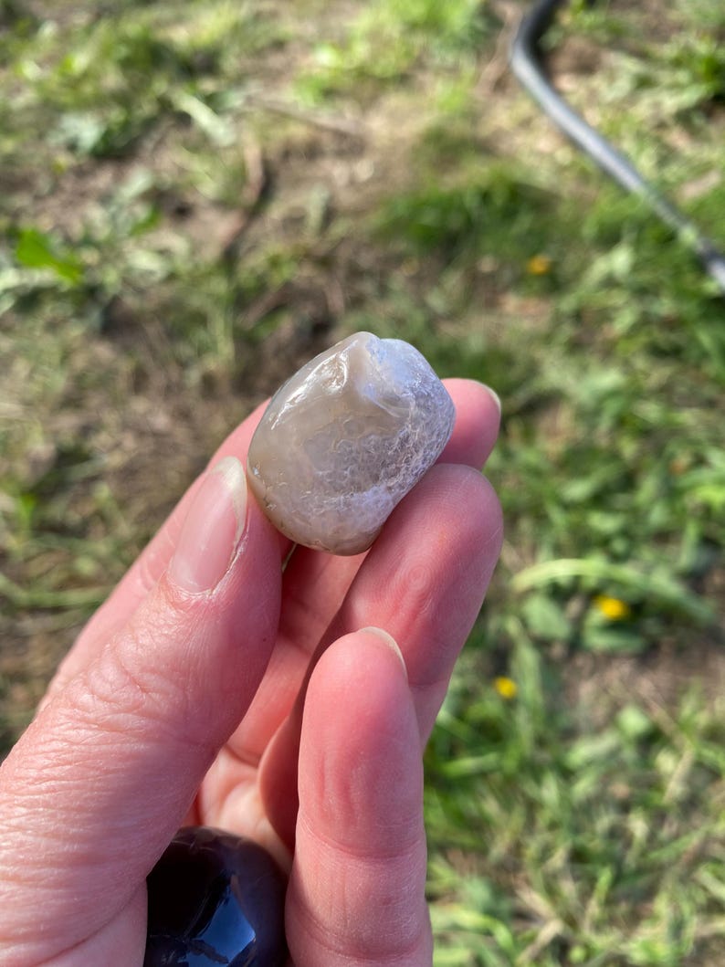 May include: A smooth, rounded, light gray stone with a slightly translucent appearance. The stone has a polished surface and a natural, organic shape. The background is blurred, showing green grass and a hint of a black hose.