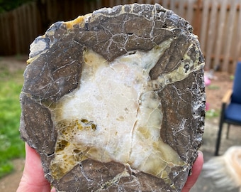 Canyon Rim Thunderegg, Common Opal, Cut and Polished
