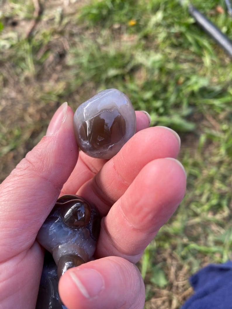May include: A hand holding two polished stones. The top stone is a rounded shape with a translucent gray and brown pattern. The bottom stone is a dark brown color with a smooth, glossy texture. The background is blurred.