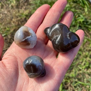 May include: Three polished stones in varying shapes and colors are held in a hand. The stones range from light gray to dark brown, with smooth, glossy surfaces. The stones are natural, possibly gemstones, and are displayed against a background of green grass.