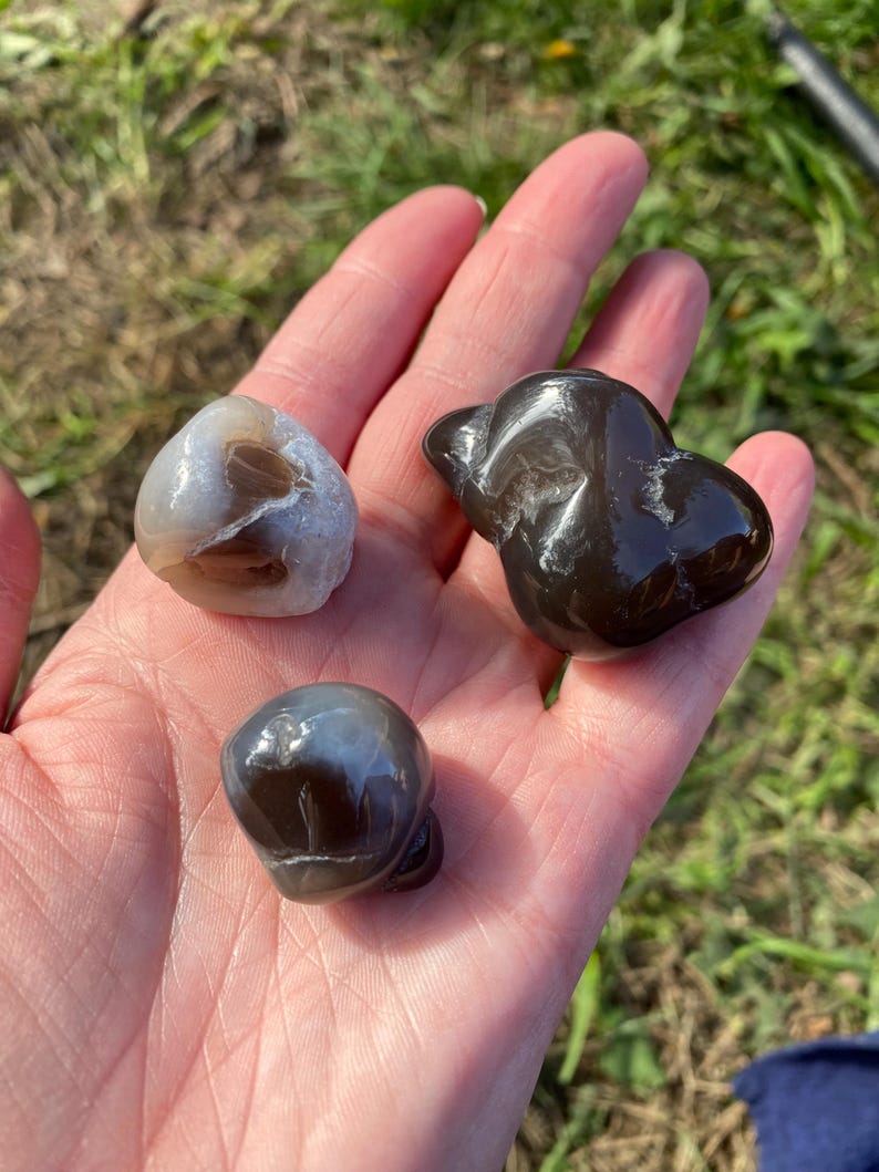 May include: Three polished stones in varying shapes and colors are held in a hand. The stones range from light gray to dark brown, with smooth, glossy surfaces. The stones are natural, possibly gemstones, and are displayed against a background of green grass.
