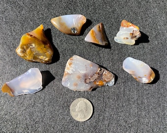 Lot of Polka Dot Agate, Fully Polished, Semi-precious Gemstone, Box Included