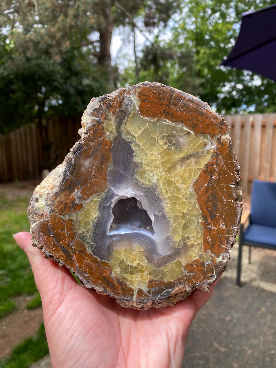 Canyon Rim Thunderegg, Agate, Opal, Cut and Polished - Etsy