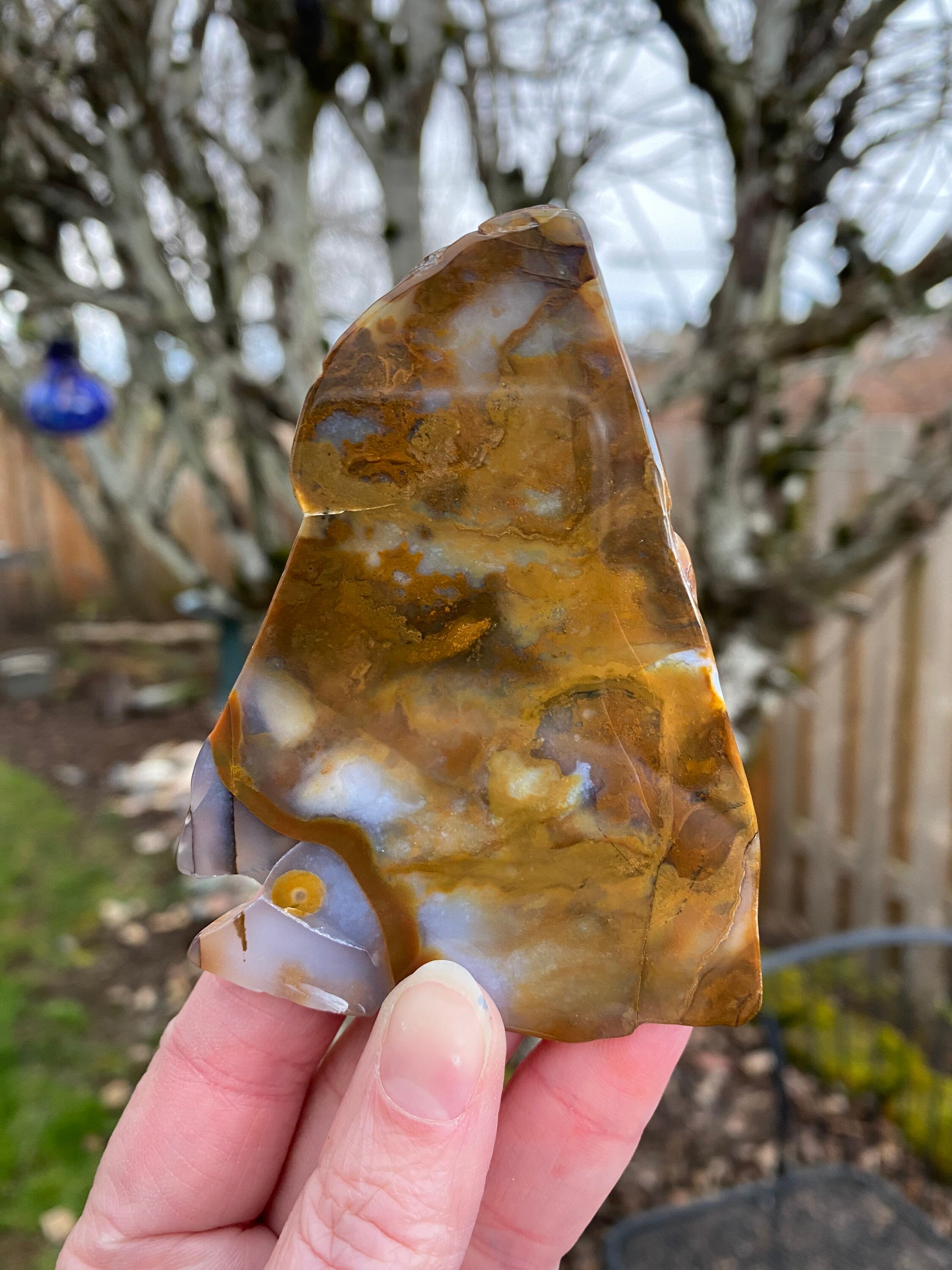 Polka Dot Agate Slab Cut Polished Blue Ice Etsy