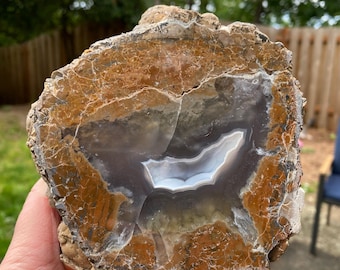 Canyon Rim Thunderegg, Agate, Cut and polished