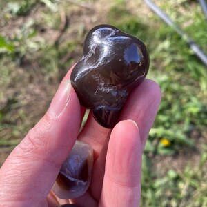 May include: A polished, dark brown agate stone with a smooth, glossy surface. The stone has a unique, organic shape and is held in a hand with other smaller stones. The background is blurred, showing green grass and sunlight.