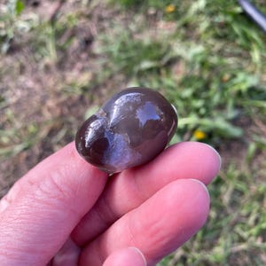 May include: A smooth, polished, dark brown stone with a glossy surface. The stone has a lighter, almost white, patch on one side. The background is blurred green grass.