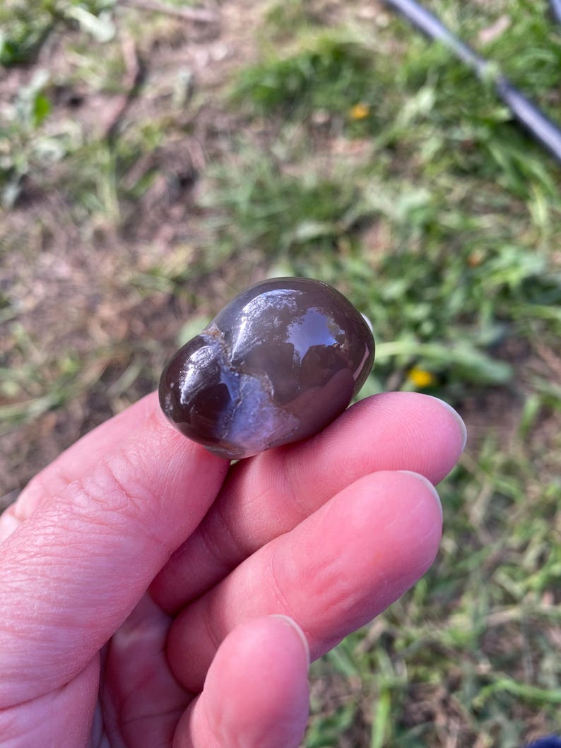 May include: A smooth, polished, dark brown stone with a glossy surface. The stone has a lighter, almost white, patch on one side. The background is blurred green grass.