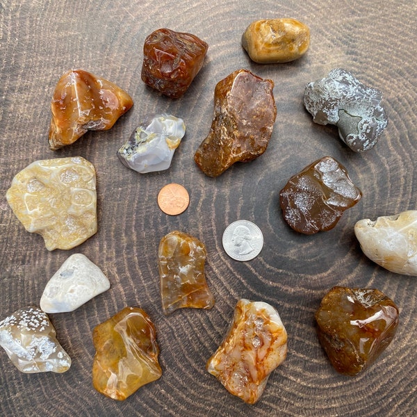 Polished Agate Collection Starter, 15 pieces, Tumbled Stones