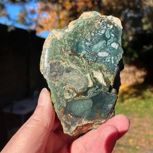 Gary Green Jasper, Cut and Polished Display