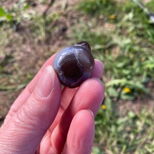 May include: A polished, dark brown gemstone with a smooth, rounded shape. The stone has a glossy surface with lighter gray and white streaks. The gemstone is held in a hand against a background of green grass and foliage.