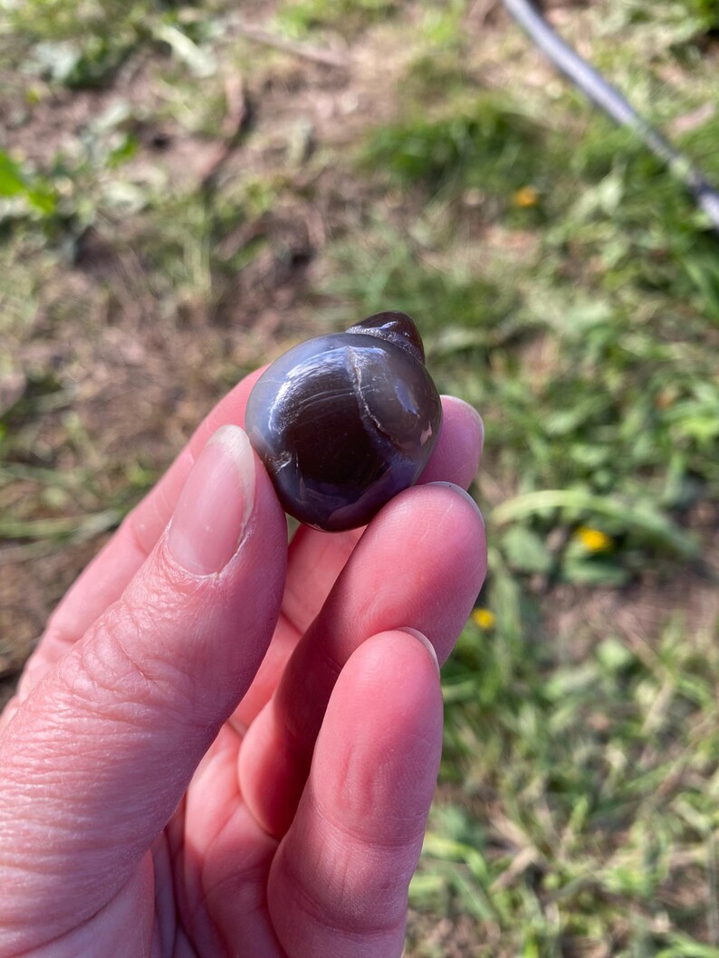 May include: A polished, dark brown gemstone with a smooth, rounded shape. The stone has a glossy surface with lighter gray and white streaks. The gemstone is held in a hand against a background of green grass and foliage.