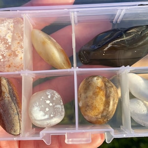 Tumbled Stones from Oregon, Agate Jasper Crystals, Collection Case Included