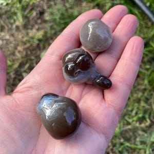 May include: Three smooth, rounded stones in varying shades of brown and gray are held in a hand. The stones have a glossy, wet appearance, with one showing a darker, almost black, area. The background is blurred, suggesting an outdoor setting.