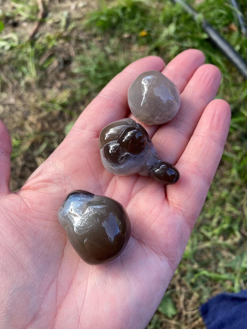 May include: Three smooth, rounded stones in varying shades of brown and gray are held in a hand. The stones have a glossy, wet appearance, with one showing a darker, almost black, area. The background is blurred, suggesting an outdoor setting.