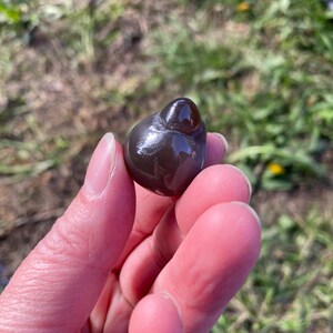 May include: A dark, glossy, teardrop-shaped stone, held in a hand. The stone has a smooth, polished surface with a deep brown color and a reflective sheen. The background is blurred, with green grass and sunlight.