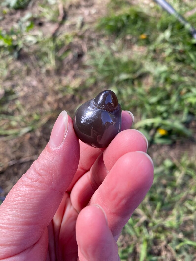 May include: A dark, glossy, teardrop-shaped stone, held in a hand. The stone has a smooth, polished surface with a deep brown color and a reflective sheen. The background is blurred, with green grass and sunlight.