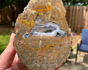 Canyon Rim Thunderegg, Agate, Cut and Polished