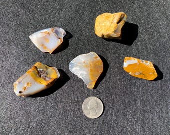 Lot of Polka Dot Agate, Fully Polished, Semi-precious Gemstone, Box Included