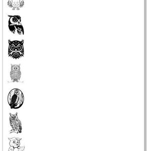 NP19 Owl Note Pad