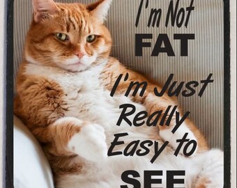 May include: A close-up of a ginger cat with white paws and a white chest, lying on a couch. The cat is looking at the camera with a serious expression. The text "I'm Not FAT I'm Just Really Easy to SEE" is written in black letters on a white background.