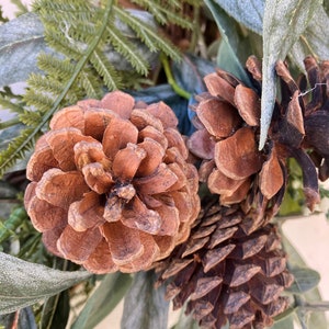 Op de afbeelding: Close-up van drie bruine dennenappels met een groene, bladerige achtergrond. De dennenappels zijn van verschillende grootte en vorm, sommige hebben een meer getextureerd oppervlak dan andere.