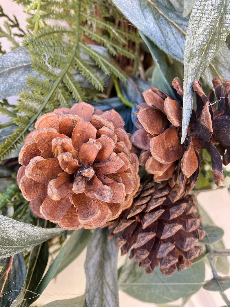 Op de afbeelding: Close-up van drie bruine dennenappels met een groene, bladerige achtergrond. De dennenappels zijn van verschillende grootte en vorm, sommige hebben een meer getextureerd oppervlak dan andere.