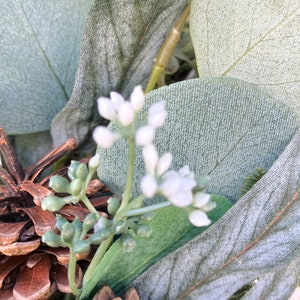 Op de afbeelding: Een close-up van een eucalyptuskrans met witte bloemen en dennenappels. De krans is gemaakt van kunstmatige eucalyptusbladeren en heeft een rustieke, natuurlijke uitstraling.
