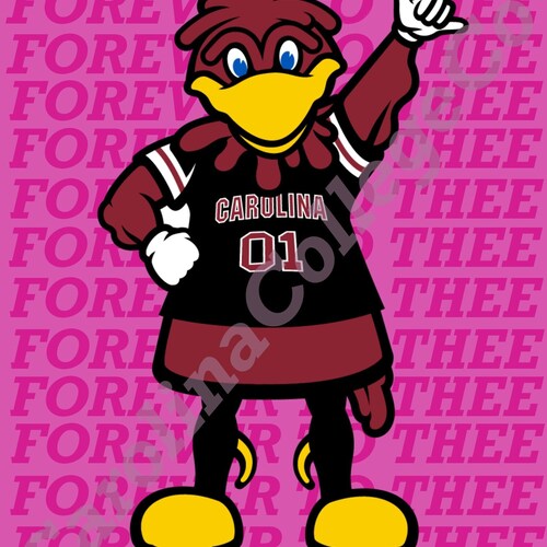 Custom University of South Carolina Print Pack - Etsy