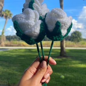 Crochet Rose Bouquet | Crochet Roses | Crochet Flowers | Crochet Flower Bouquet |