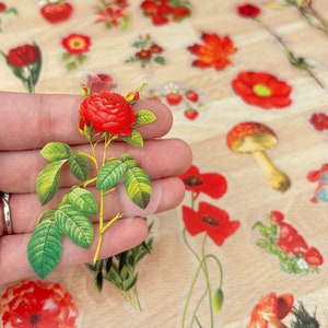 50 adesivi in vinile con riempitivo in resina a forma di fungo rosso per sottobicchieri in resina, adesivi trasparenti per pianificatori, computer portatili, forniture artigianali per scrapbooking