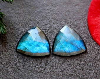 Labradorite Slice | Trillion Slice Labradorite | Natural Labradorite Stone | Gemstone Labradorite | AAA Blue Labradorite Pair Trillion Slice