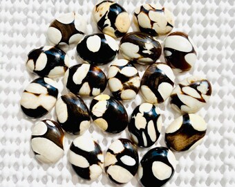 Cabochon di diaspro in legno di arachidi naturale / Pietra preziosa ovale (12 x 16 mm) 5 pezzi