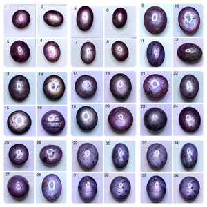 May include: A collection of thirty-six oval-shaped, cabochon-cut star rubies. The gemstones vary in size and have a deep reddish-purple hue. Each stone displays a distinct star effect, with lines radiating across the surface. The rubies are set against a white background.