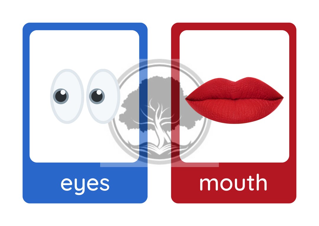 Flashcards, Body Parts, Printable, Digital Download, PDF, Learning ...