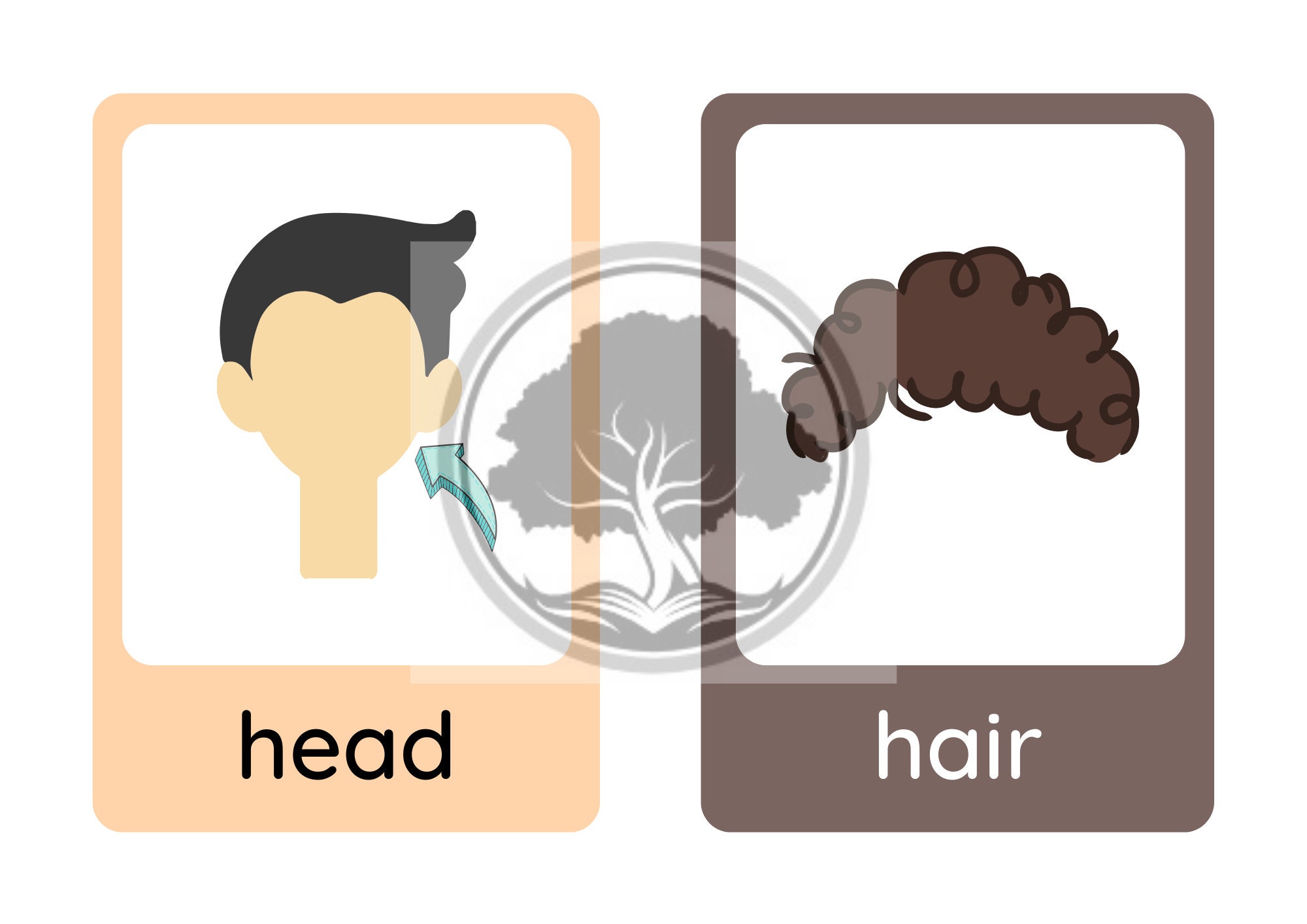Flashcards, Body Parts, Printable, Digital Download, PDF, Learning ...