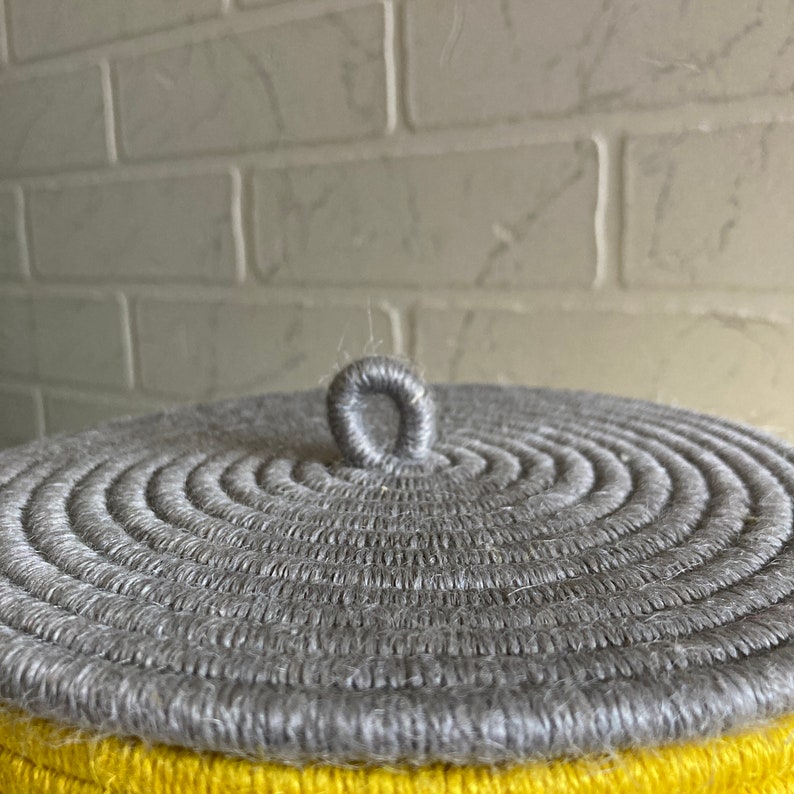 Yellow Rope Basket With Lid Etsy