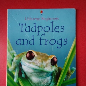 Livre sur la nature vintage pour débutants Usborne 2002 têtards et grenouilles