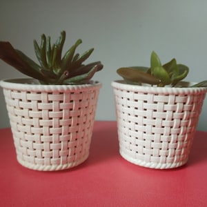 Peut inclure: Deux petites plantes succulentes en pot dans des jardinières assorties de couleur crème et à motif tissé. Les jardinières ont une bordure en forme de corde autour du haut et de la base. Une succulente a des feuilles vert foncé en forme de doigts, et l'autre a des feuilles vertes arrondies.