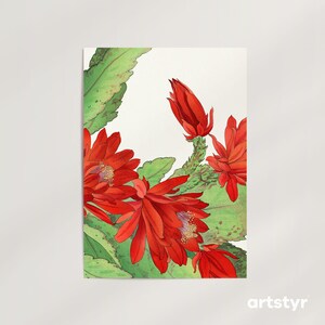 Phyiokaktus Blume · 20+ Größen · Tanigami Kônan, c. 1900 · Giclée Wandkunst Poster · Rote Kaktusblüte · Bereit zum Rahmen
