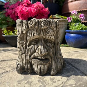 Tree Trunk Man Planter