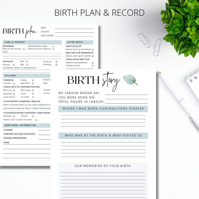 Pregnancy Journal Printable PDF, Pregnancy Planner Digital Download, Pregnancy Tracker, Pregnancy Diary, Expecting Mom Gift image 6