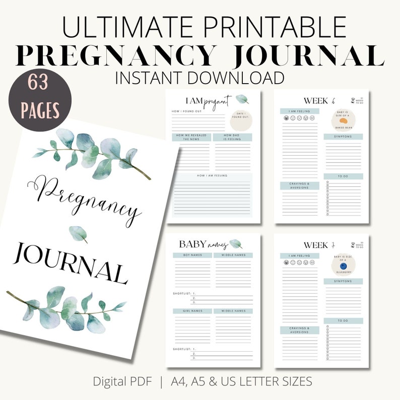 Pregnancy Journal Printable PDF, Pregnancy Planner Digital Download, Pregnancy Tracker, Pregnancy Diary, Expecting Mom Gift image 1