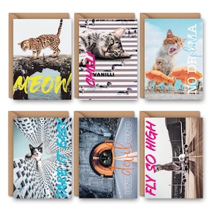 Könnte beinhalten: Set mit sechs Grußkarten mit Katzenmotiven. Jede Karte zeigt ein anderes Foto einer Katze mit Textüberlagerungen. Die Karten befinden sich in einem Kraftpapierumschlag. Der Text auf den Karten lautet "MEOW", "VANILLI", "NO DRPLENEA", "ANGEL BABY", "UNDERGROUND" und "FLY SO HIGH".