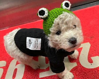 Hand knitted pet hats big eyes frog decoration Adorable Pet Funny Hat Cartoon Frog Shape Pet Cap Weaving Puppy Cat Hat Pet Grooming Supplies